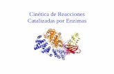 Cinética de Reacciones Catalizadas por Enzimasdepa.fquim.unam.mx/amyd/archivero/apuntesCQ6_34445.pdf · cerradura para explicar la especificidad de las enzimas. Muchas enzimas poseen