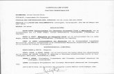 portalanterior.ine.mxportalanterior.ine.mx/.../Guanajuato_GarciaRuizAnita.pdf · Ministerio Público número 5, de la ciudad de Celaya, Guanajuato. 2002-2003 me desempeñe como litigante
