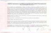 PRIMERASESION DELAASAMBLEA PLENARIA … · del2013, firmando alcalce elC.P. Carlos Alberto Rubalcava Arellano, Coordinador Estatal de Pla~iór:l-y-P-royeJ!!~s yCoordinador General