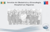 Servicio de Obstetricia y Ginecología. Hospital Las … uno.pdf · MISIÓN Somos un servicio de Obstetricia y Ginecología con enfoque asistencial, docente y de investigación, cuyo