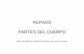 REPASO PARTES DEL CUERPO - cytisan.pbworks.comcytisan.pbworks.com/w/file/fetch/103114594/Autoevaluación... · 1 Huesos del Metacarpo 2 Huesos del Carpo 3 Columna ...  ...