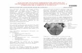 Reseccion de cancer de base de lengua - vula.uct.ac.za · Ducto Submandibular Glándula Sublingual Glan. Submandibular Músculo Mylohyoid . 5 Evaluación preoperatoria 1. ... tumefacción