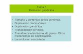 Tema 5 Evolución genómica • Tamaño y contenido de …bioinfo2.ugr.es/presentaciones/EvolMol/tema_4_EvolucionGenomica.pdf · no es el organismo, sino el gen. Los organismos son