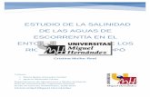 estudio de la salinidad de las aguas de escorrentía en …dspace.umh.es/bitstream/11000/4297/1/TFG Mullor Real, Cristina.pdf · desembocando en el sur de la ... la pesca y las actividades