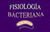 Relación en las bacterias - …iespoetaclaudio.centros.educa.jcyl.es/sitio/upload/bacterias_fisio... · asimilados por las plantas. ... medio ADN libre procedente de otra célula.
