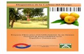 Diagnóstico de la Cadena del Mango - trazabilidad.net.dotrazabilidad.net.do/documentos/Diagnostico Cadena Mango.pdf · de nuevas tecnologías y por la necesidad de cumplir con los