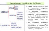 Recordemos: clasificación de lípidos · Digestión, absorción y metabolismo de los lípidos en monogástricos y rumiantes CONTENIDO 1. Digestión de grasas: etapas 2. Digestión