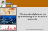 Conceptos básicos de epidemiología en sanidad acuícola Conceptos básicos de... · Espacio para foto o imagen “ Conceptos básicos de epidemiología en sanidad acuícola DR.