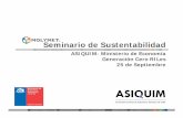 Seminario de Sustentabilidad - asiquim.com · calidad para sus clientes de todo el mundo, con una gestión caracterizada por el pleno respeto al medio ambiente y plenamente sustentable.