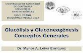 Glucólisis y Gluconeogénesis Conceptos Generales · 1a. Etapa: Manejo de Hexosas 1. La glucosa se fosforila a glucosa-6-fosfato por ... Al haber agotado las reservas de ... El catabolismo