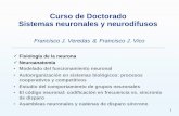 Curso de Doctorado Sistemas neuronales y neurodifusosfvn/SNN/T1-Fisiologia.pdf · Sistemas neuronales y neurodifusos ... Los tipos neuronales se relacionan con ... Circuitos específicos
