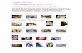 1.- AUDIOVISUALES en DIAPOSITIVAS.€¦ · Colección de 200 diapositivas, relacionadas con: la célula, ... fauna ediacara fauna ediacara elrathia ... pirineos erosión marina erosión