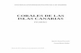 CORALES DE LAS ISLAS CANARIAS - Archivo Digital …oa.upm.es/21548/2/CORALES_DE_LAS_ISLAS_CANARIAS.pdf · 2 dichos tentáculos están arraigados en el disco del pólipo, en cuyo centro