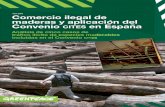 Abril 2009 Comercio ilegal de maderas y aplicación del ...archivo-es.greenpeace.org/espana/Global/espana/report/bosques/... · Greenpeace España Comercio ilegal de maderas y aplicación