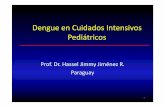 Dengue en Cuidados Intensivos Pediátricos - sap.org.ar y Cuidados Critico… · • Derrames serosos: ascitis, derrame pleural, derrame pericárdico • Hipoalbuminemia 16. Propuesta
