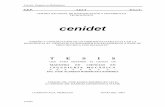 cenidet - personal.cablemas.compersonal.cablemas.com/tribologiabiomecanica/tesis4.pdf · Fricción Desgaste en Rodamientos Cenidet Dedicatorias