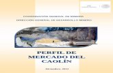 PERFIL DE MERCADO DEL CAOLÍN - economia.gob.mxeconomia.gob.mx/.../informacionSectorial/...perfiles_caolin_0513.pdf · ANEXO CUADROS ESTADÍSTICOS Pag. i ... En el caso del grado