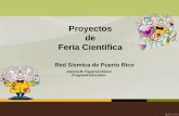 Proyectos de Feria Científica - Red Sísmica de Puerto … · –Es una descripción de lo que se aprendió al hacer la feria científica. Método Científico VIII. Reconocimientos