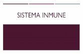 Sistema inmune - Biología 8 Grado Colegio San …mariagonzalezu.weebly.com/uploads/6/3/2/2/6322285/sistema_inmune.… · hongos,entre otros.Estos agentes pueden perturbar la fisiología