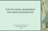 PATOLOGIA MAMARIA EN ADOLESCENTES - …adolescencia.sochipe.cl/subidos/catalogo3/Patologia Mamaria.pdf · a ya sea tejido mamario normal, quistes o fibroadenomas. La US es el método