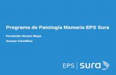Programa de Patología Mamaria EPS Sura · • Quistes mamarios: – Funcionales – En general no generan riesgo de malignidad – El compromiso del radiólogo en el diagnóstico