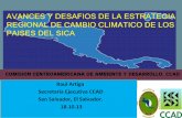 COMISION CENTROAMERICANA DE AMBIENTE Y … · ESTRATEGIA REGIONAL DE CAMBIO CLIMATICO 2. ... • Turismo y Cambio ... I. Planes de inversiones en infraestructura públicas y privadas