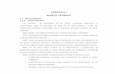 CAPÍTULO I MARCO TEÓRICO - repositorio.ug.edu.ecrepositorio.ug.edu.ec/bitstream/redug/3104/2/MARCO TEORICO.pdf · Se clasifica en cuatro fracciones: ... que neutraliza las cargas