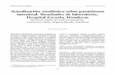 Actualización estadística sobre parasitismo intestinal ...cidbimena.desastres.hn/RMH/pdf/2002/pdf/Vol70-2-2002-2.pdf · En general la rutina consiste de: verificación de la identi-ficación