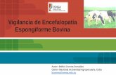 Vigilancia de Encefalopatía Espongiforme Bovina · Países Miembros clasificados en la categoría de países en que el riesgo de encefalopatía espongiforme bovina es insignificante,