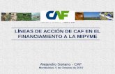 LÍNEAS DE ACCIÓN DE CAF EN EL … · Perú / Brasil Ecuador Ecuador Venezuela Uruguay Ecuador / Jamaica ... las formas de capital Aumento en productividad Sostenibilidad ambiental