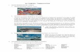 ALTAMIRA, TAMAULIPAS · jurisdicción sobre los bienes de dominio marítimo comprendidos dentro de los límites siguientes: ... Control de Trafico Maritimo del Puerto de Altamira