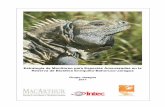 Estrategia de Monitoreo para Especies Amenazadas … · FICHAS TECNICAS DE ESPECIES AMENAZADAS ... donante en el proyecto Conservación de la Biodiversidad en la ... extensos hábitats