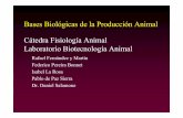 Bases Biológicas de la Producción Animal Cátedra ... introduccion.pdf · Mitosis Resultado dos células genéticamente idénticas Meiosis Resultado cuatro células con la mitad