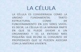 LA CÉLULA - Bucaramangalasallebga.edu.co/2012/ge/ars/p1/CIENCIAS/CIENCIAS/CIENCIAS_04... · funcionamiento en los seres vivos. es decir, la cÉlula es la mÍnima parte en que se