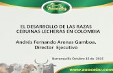 EL DESARROLLO DE LAS RAZAS CEBUINAS …static.contextoganadero.com.s3.amazonaws.com/Publicaciones/III_Foro... · EL DESARROLLO DE LAS RAZAS CEBUINAS LECHERAS EN COLOMBIA Andrés Fernando