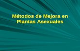 Métodos de Mejora en Plantas Asexuales - …mejogeve/Asexuales.pdf · Plantas Asexuales . Sistemas de reproducción en plantas REPRODUCCION SEXUAL REPRODUCCION ASEXUAL ... Transmiten