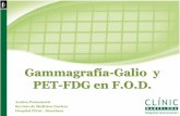 Gammagrafía-Galio y PET-FDG en F.O.D. · Gammagrafía-Galio y PET-FDG en F.O.D. Andrés Perissinotti Servicio de Medicina Nuclear Hospital Clinic - Barcelona