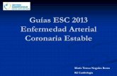 Guías ESC 2013 Enfermedad Arterial Coronaria Establecardioteca.com/.../guias-2013-enfermedad-coronaria-estable.pdf · • Definición: de angina de pecho estable a enfermedad arterial