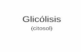 Glicólisis - depa.fquim.unam.mxdepa.fquim.unam.mx/amyd/archivero/4.0.GLUCOLISIS_24474.pdf · bifosfoglicerato, son más estables y son sometidos a transformaciones en la célula