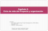 Capítulo 2: Ciclo de vida del Proyecto y organizacióndis.unal.edu.co/~icasta/GGP/_Ver_2011_2/2011_2_GGP_Clases/GGP_… · Ejemplo de ciclo de vida del proyecto Viabilidad del proyecto