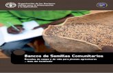 Bancos de Semillas Comunitarios - fao.org · de semillas de emergencia en momentos de crisis, reduciendo su dependencia de los sistemas de ... (Lewis and Mulvany, 1997; Shrestha et