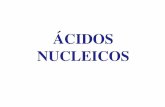 06 Acidos nucleicos para internet.ppt [Modo de …docentes.educacion.navarra.es/ralvare2/acnucleicosppt2Bac.pdf · estructura terciaria. Empaquetamiento del ADN en el núcleo interfásico