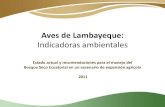 Aves de Lambayeque - rufford.org Detailed Final Report.pdf · índice de similitud basado en abundancia de Chao-Jaccard (J). H/A: Cultivo herbáceo/arbustivo, BR: Bosque reciente,