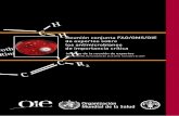 Reunión conjunta FAO/OMS/OIE de expertos sobre os antimicrobianos de ... · la importancia de las clases de antimicrobianos 12 3. ... Apéndice C Glosario 55 Apéndice D Lista de