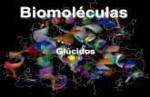 Biomoléculas - tuylaquimica.files.wordpress.com · Químicamente son: polihidroxialdehidos o polihidroxicetonas o polímeros de estos. Familia Grupo funcional Alcohol----- hidroxilo