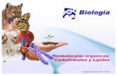 Biología - bicentenariotalagante.clbicentenariotalagante.cl/.../uploads/2015/10/BIOMOLECULAS-1.pdf · BIOMOLECULAS 1 Author: Alejandro Peñailillo A. Created Date: 10/7/2015 6:25:47