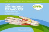 EN EL SÍNDROME DEL TÚNEL CARPIANO - …guiasdnl.com/mano/sindrome-del-tunel-carpiano/downloads/Guia-DNL... · Guía para el abordaje de la mano dolorosa en el síndrome del túnel