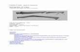 Radiografías de Copán - famsi.org · estuvo centrado en la evaluación de la fractura del antebrazo derecho y en la morfología relativamente delicada de todo su esqueleto. Abstract