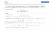 Matemáticas II SOLUCIONARIO UNIDAD 1: Matricesiescastilla.centros.educa.jcyl.es/sitio/upload/Ud01_Solucionario... · Matemáticas II SOLUCIONARIO . ACTIVIDADES de RESOLUCIÓN DE