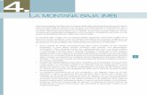 Sistemas morfogénicos del territorio colombiano - …documentacion.ideam.gov.co/openbiblio/bvirtual/021769/... · 2010-10-21 · 97 Las macrounidades definidas como montaña media